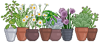 potted plants