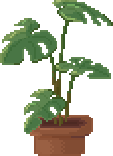 potted plant